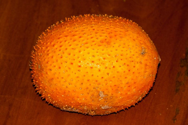 Name:  Gac-Frucht.jpg
Hits: 1342
Größe:  70,0 KB