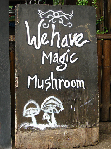 Name:  magic mushrooms.jpg
Hits: 854
Größe:  144,6 KB