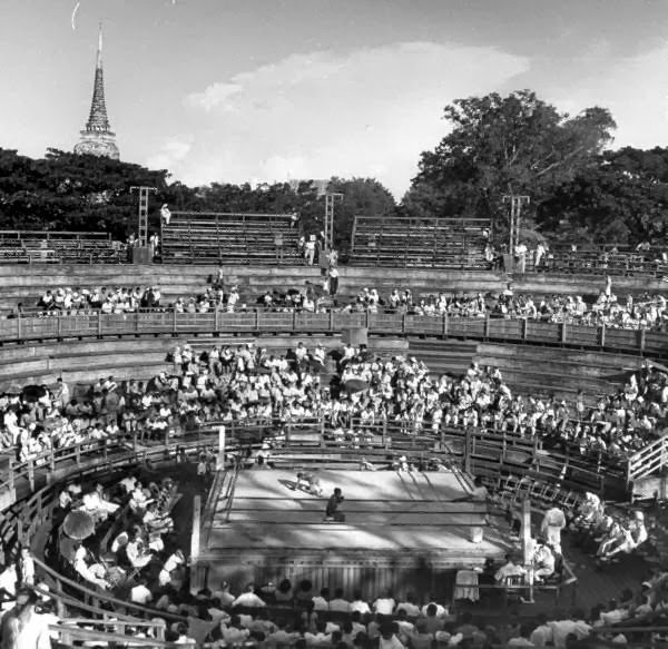 Name:  Muay Thai 1948.jpg
Hits: 275
Größe:  100,9 KB