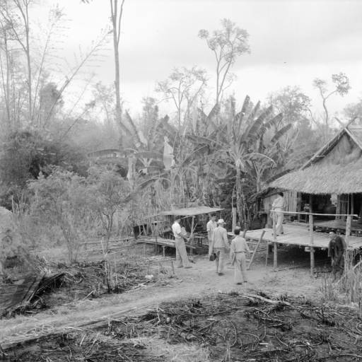 Name:  Sukhothai 1948 - Dorfleben-1.jpg
Hits: 188
Größe:  44,7 KB
