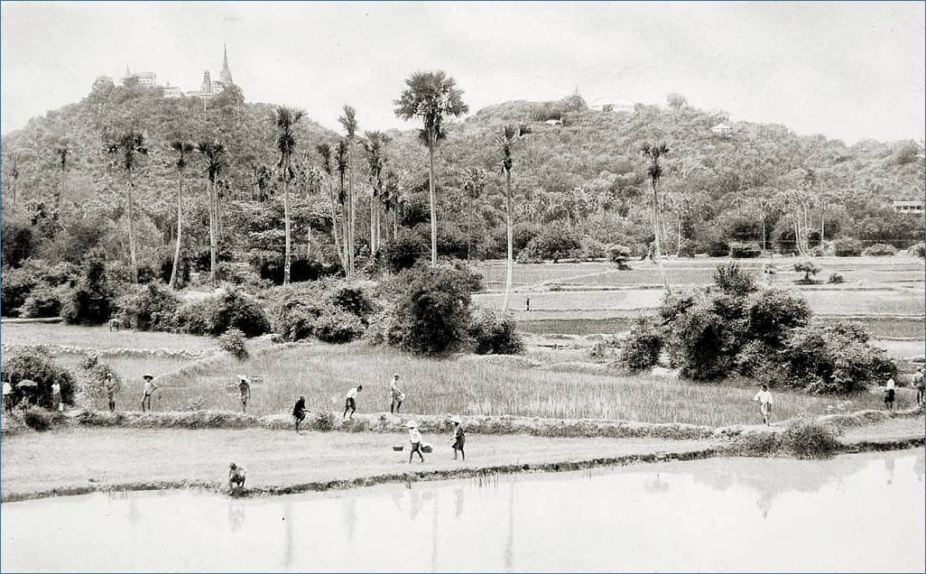 Klicke auf die Grafik für eine größere Ansicht 

Name:	Petchaburi-1897.jpg 
Hits:	234 
Größe:	158,0 KB 
ID:	6184