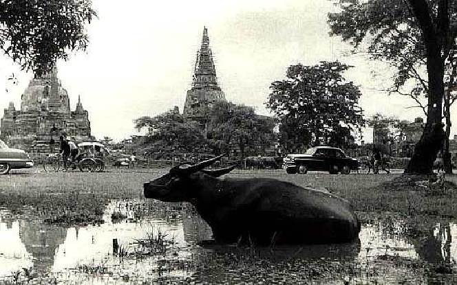 Name:  Ayutthaya Historical Park - 1954.jpg
Hits: 225
Größe:  148,0 KB