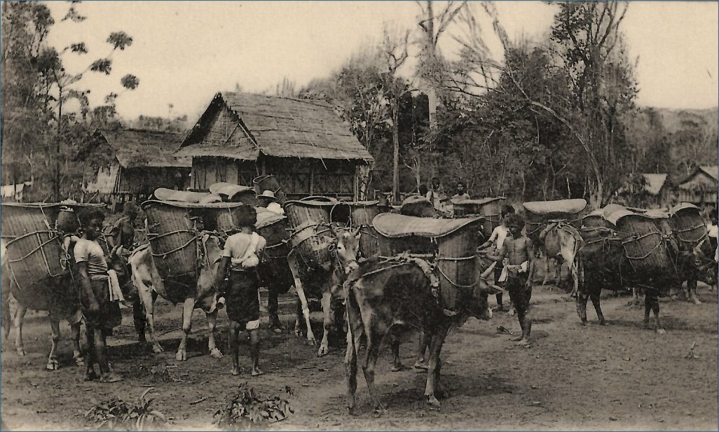 Klicke auf die Grafik für eine größere Ansicht 

Name:	Laos 1910.jpg 
Hits:	326 
Größe:	150,2 KB 
ID:	7861