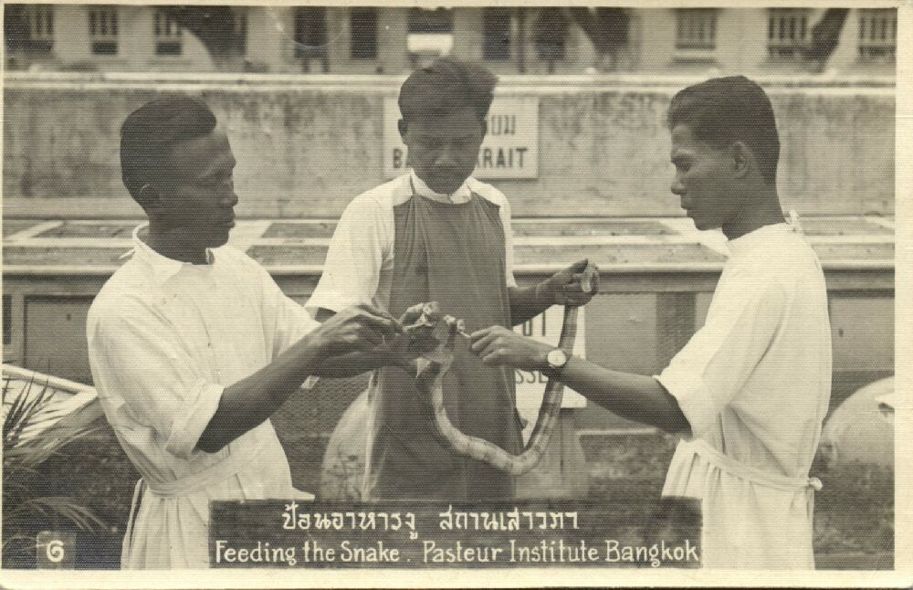 Name:  Bangkok 1930.jpg
Hits: 283
Größe:  128,4 KB