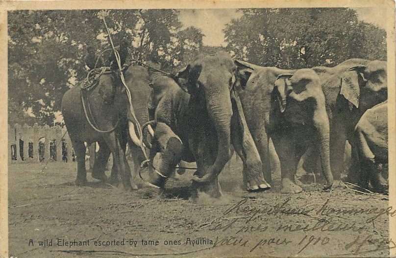 Name:  Postkarte 1910.jpg
Hits: 266
Größe:  110,5 KB