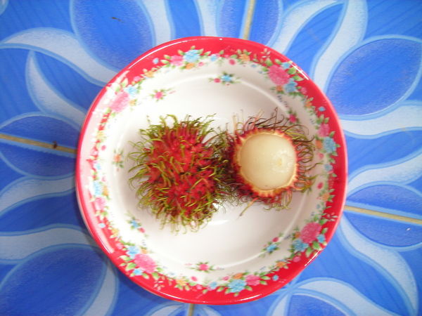 Name:  Rambutan-1.jpg
Hits: 401
Größe:  54,2 KB