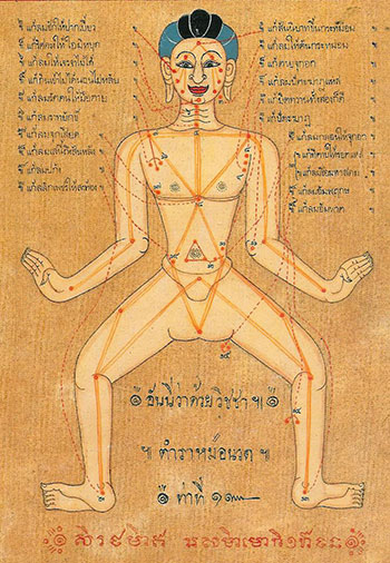 Name:  Eine alte Zeichnung  aus dem Wat Pho von Massagepunkte  - aus dem Jahr 1832.jpg
Hits: 149
Größe:  74,5 KB