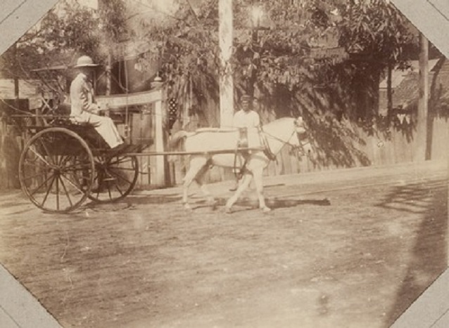 Name:  Bangkok Kutsche ca.1895.jpg
Hits: 157
Größe:  94,4 KB