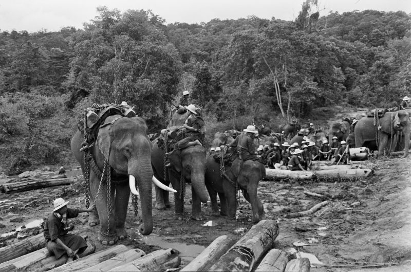 Name:  Chiang Mai 1963-1.jpg
Hits: 155
Größe:  115,3 KB